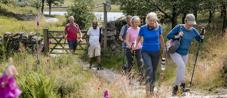 Over 50s Vitamins Over 50s Vitamins
