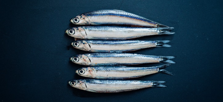 All Products Containing Fish Oil All Products Containing Fish Oil