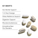 Akkermansia Gut Support Key Benefits