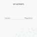 Cal-Mag-Citrate Key Nutrients