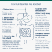 How Multi Essentials Are Absorbed