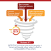 MetaActive® Rapid Speed Tech