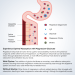 Magnesium Glycinate Tablets Absorption