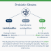 UltraFlora® Everyday Probiotic Strains