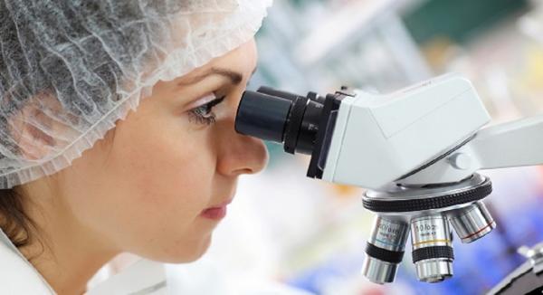 Zebrafish shows Vitamin E is Important for the Brain