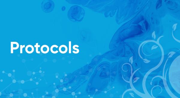 Immune Support Protocol