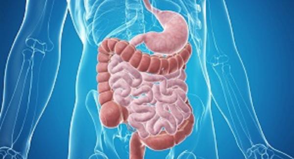 How Functional Medicine Can Fix Your Gut