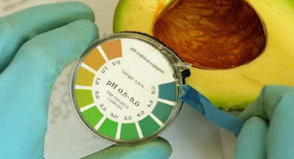 Diet-Induced Cellular Acidosis & Bone Health