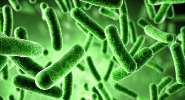4 Ways Epstein Barr Virus Promotes Autoimmunity