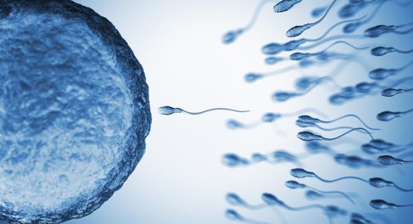 Magnesium, Myo-inositol & Vitamin C – A Powerful Fertility Trio