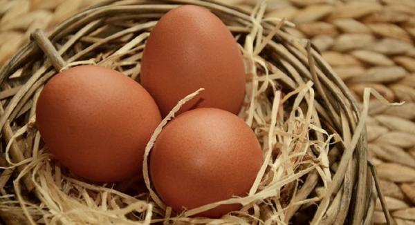 The Truth About Eggs