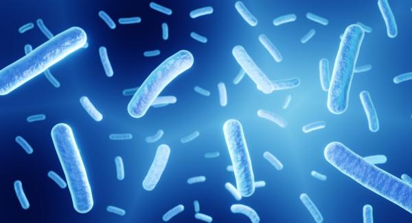 Recent Study Shows Link Between Gut Health and COVID-19 Severity