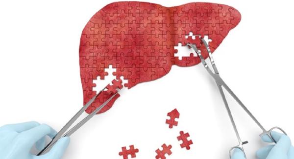 What Your Liver Actually Does...