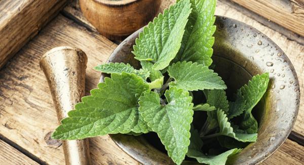 The Benefits of Lemon Balm for Sleep and Calm