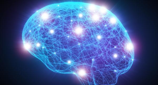 3 Key Factors to Consider for Supporting Mitochondria and Brain Health